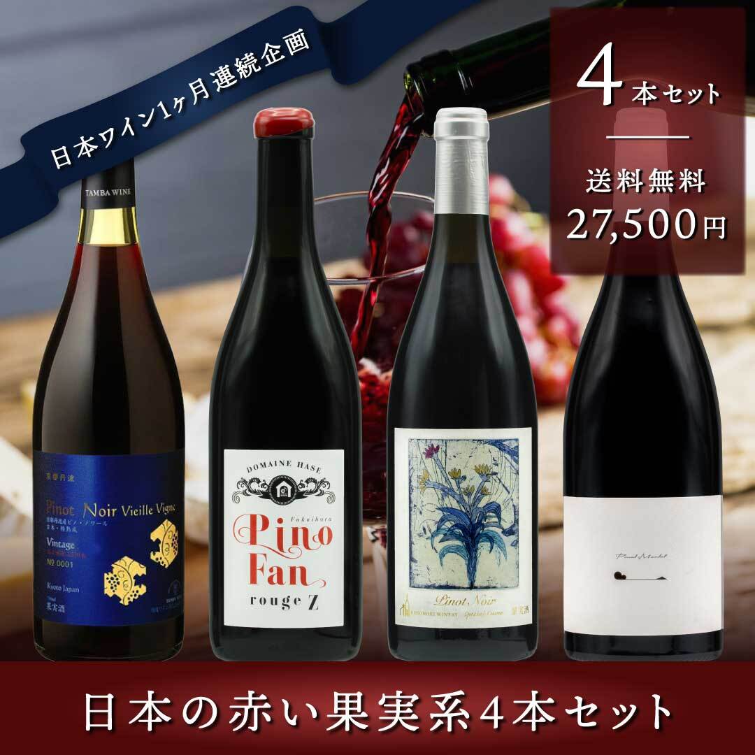 日本ワイン4本セット（テールドシエル、ドメーヌオヤマダ）ドメーヌオヤマダ日向2020
