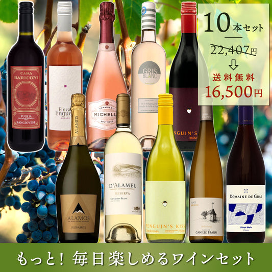 もっとエブリデイワイン！10本セット Vol.22 ※倉庫出荷のため、店舗在庫と同時注文不可