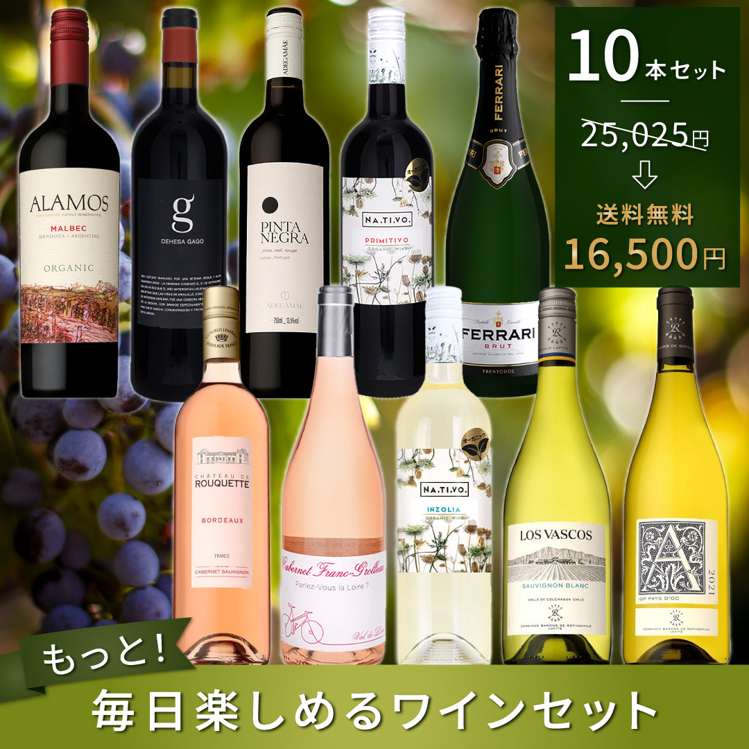 もっとエブリデイワイン！10本セット Vol.24 ※倉庫出荷のため、店舗商品と同時注文不可