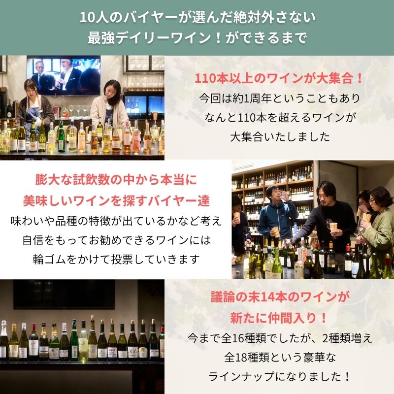 【送料無料】バイヤー厳選、最強デイリーワイン！6本よりどり～2025リニューアル！～